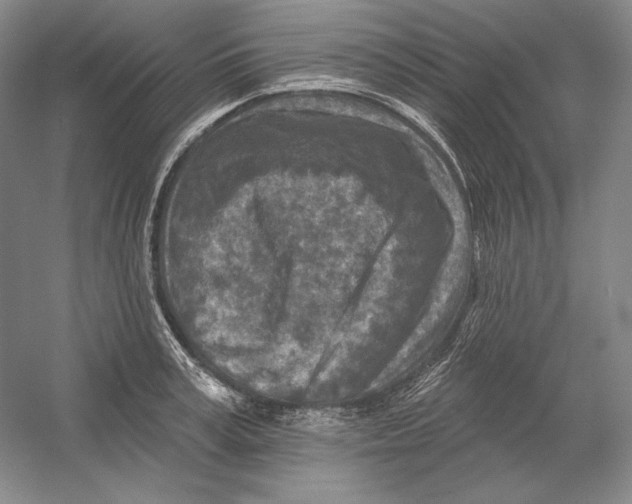 X0000054380995200508270003