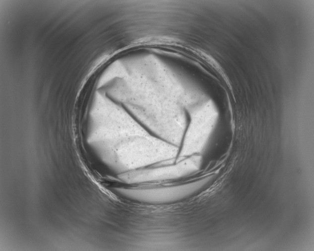 X0000054380997200508270002