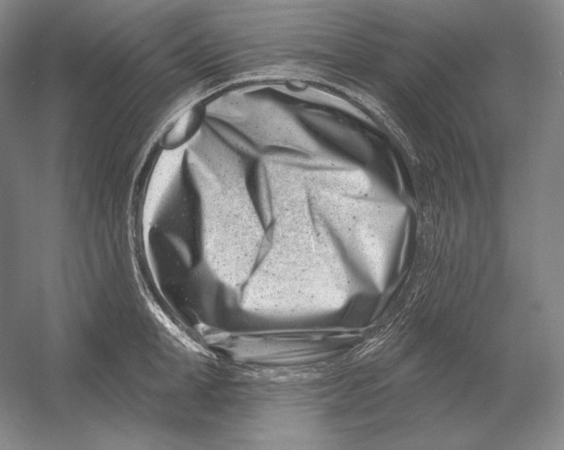 X0000054380998200508270002