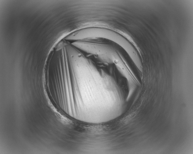 X0000054380999200508270002