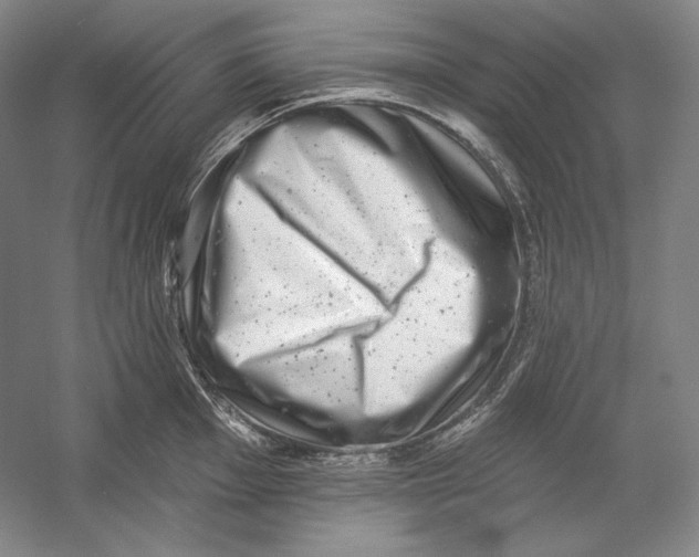 X0000054381001200508270002