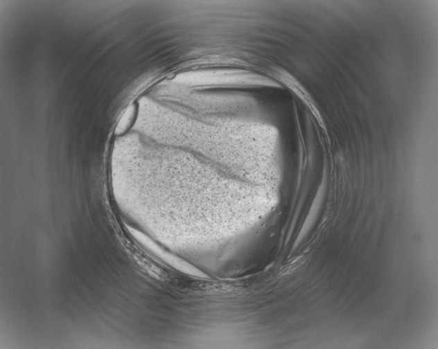 X0000054381002200508270002