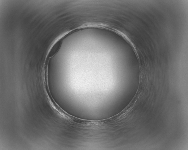 X0000054381003200508270002