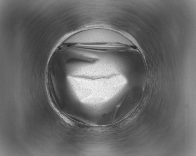 X0000054381005200508270002