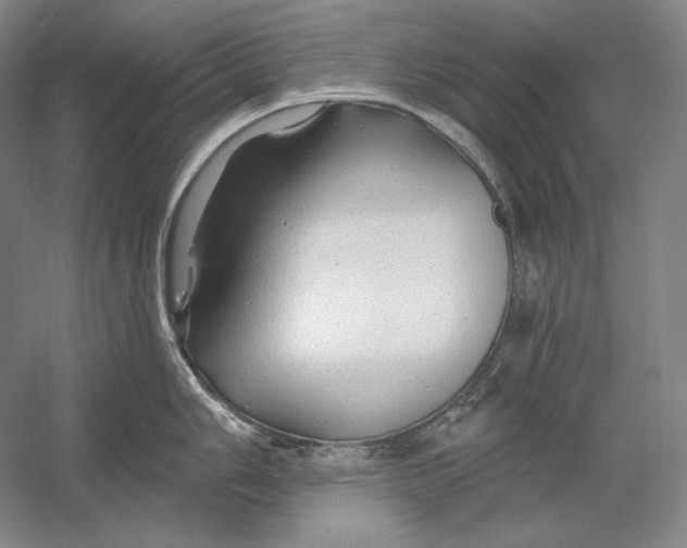 X0000054381006200508270002