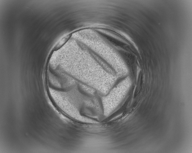 X0000054381007200508270002