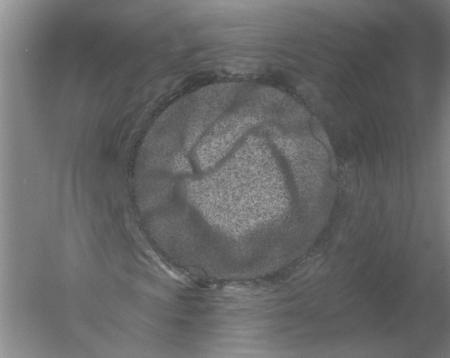 X0000054381009200508270001