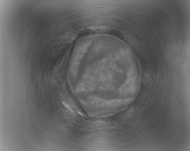 X0000054381010200508270002