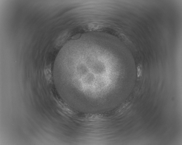 X0000054381011200508270002