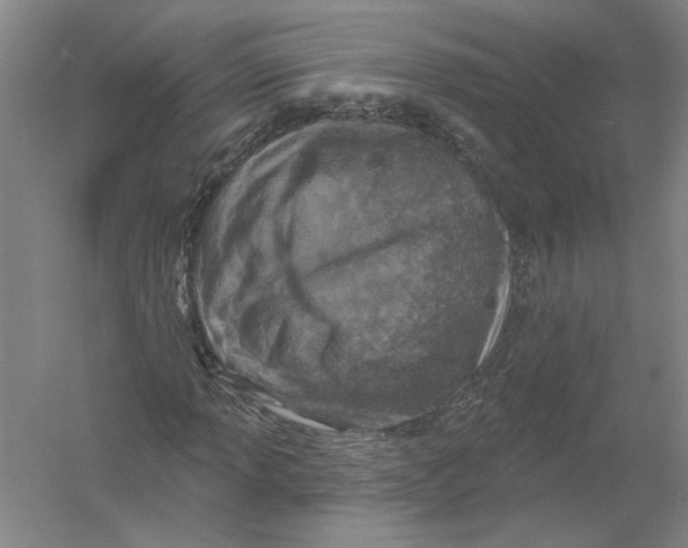 X0000054381013200508270002