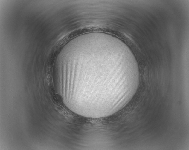 X0000054381015200508270002