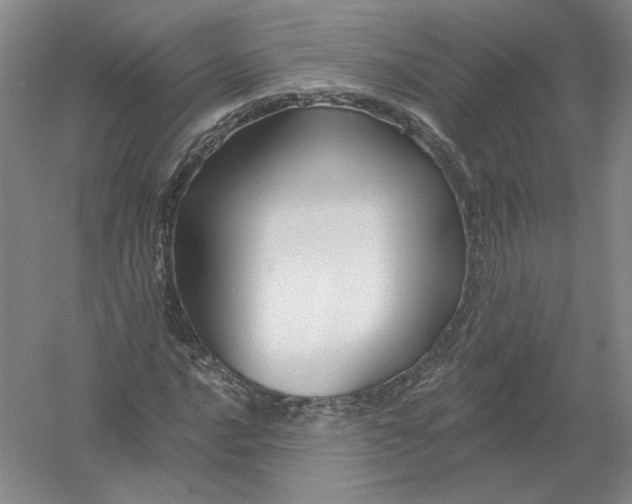 X0000054381016200508270002