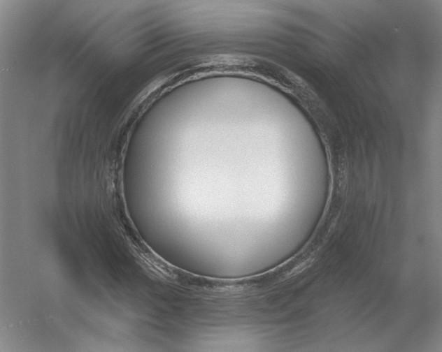 X0000054381017200508270002