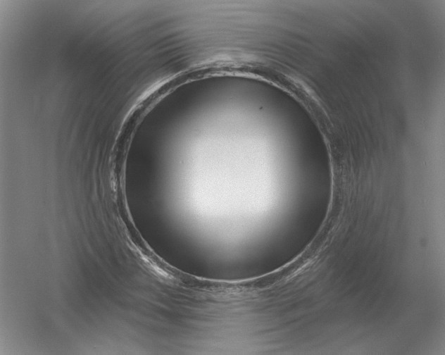 X0000054381018200508270002