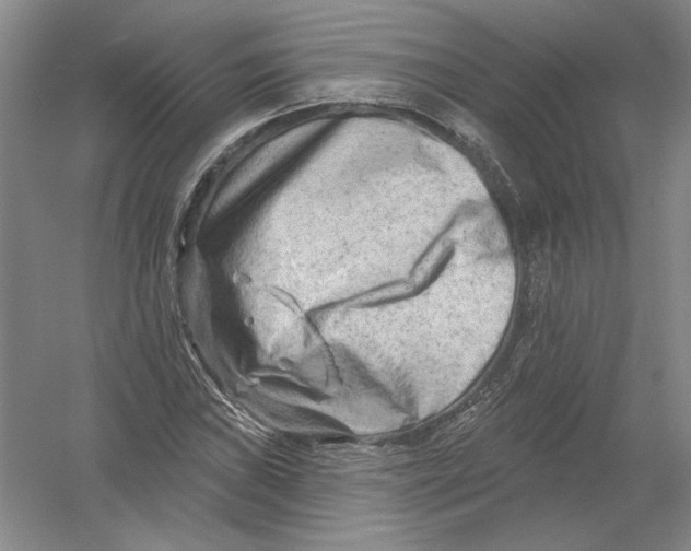 X0000054381019200508270002