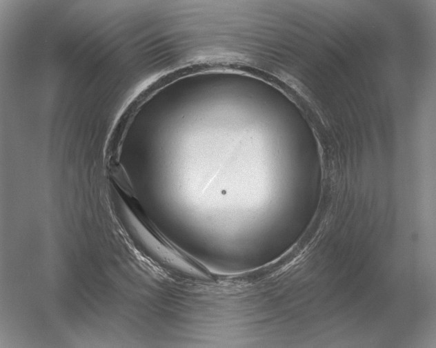 X0000054381022200508270002