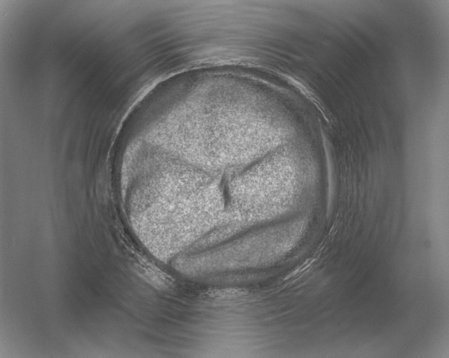 X0000054381023200508270002