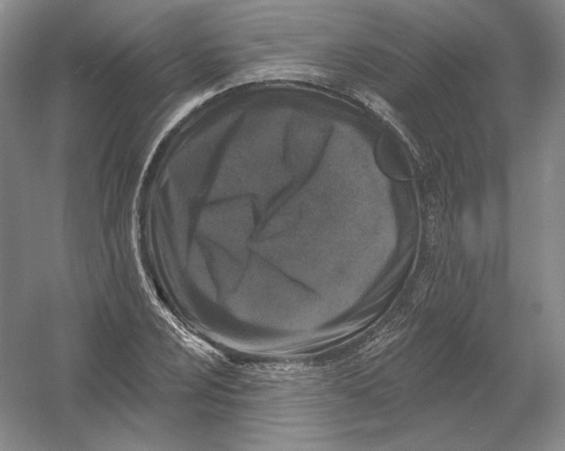 X0000054381024200508270002