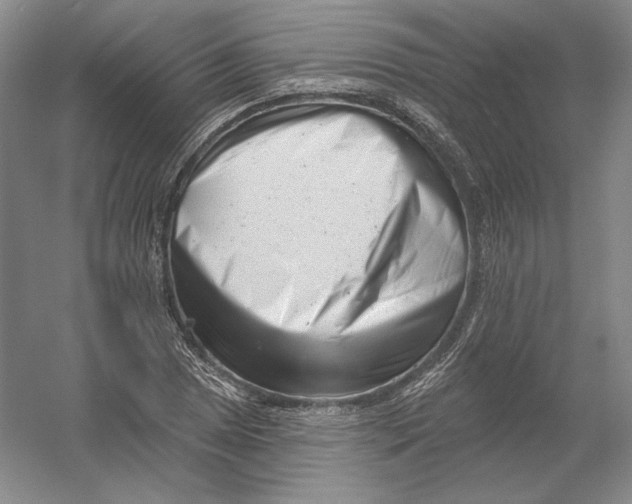 X0000054381025200508270002