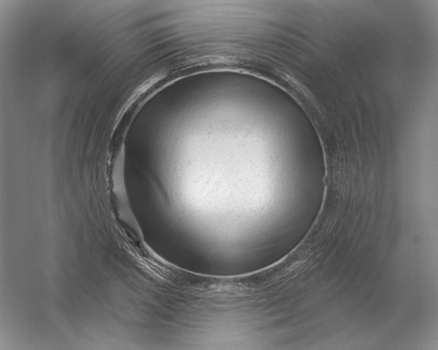 X0000054381026200508270002