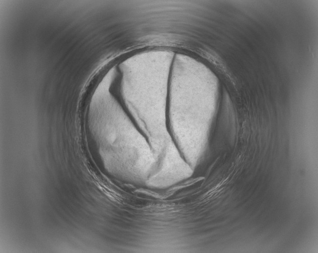 X0000054381027200508270002