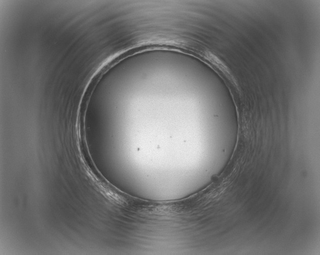 X0000054381028200508270002