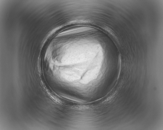 X0000054381030200508270002