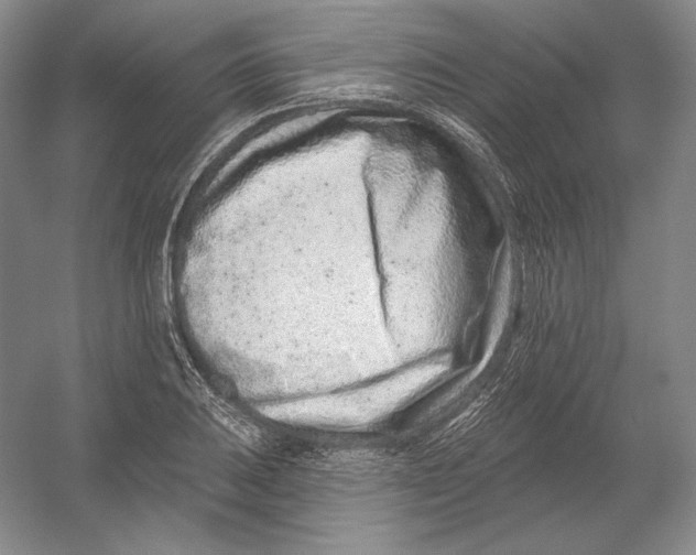 X0000054381031200508270002