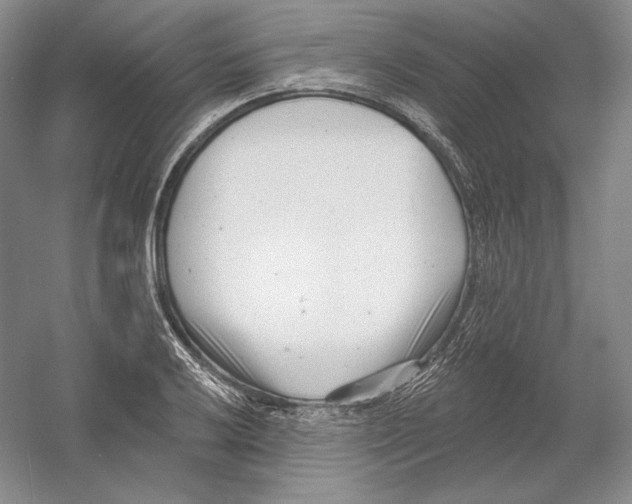 X0000054381032200508270002