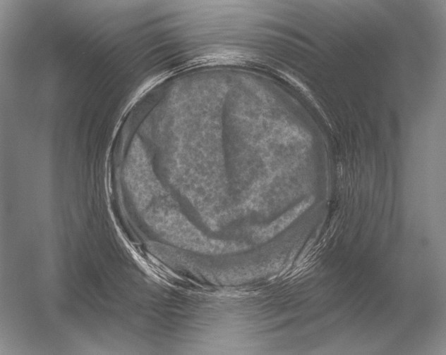 X0000054381034200508270002