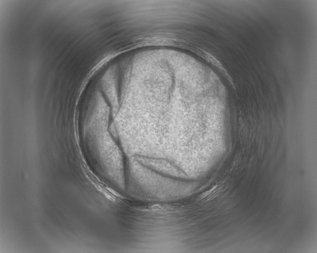 X0000054381035200508270002