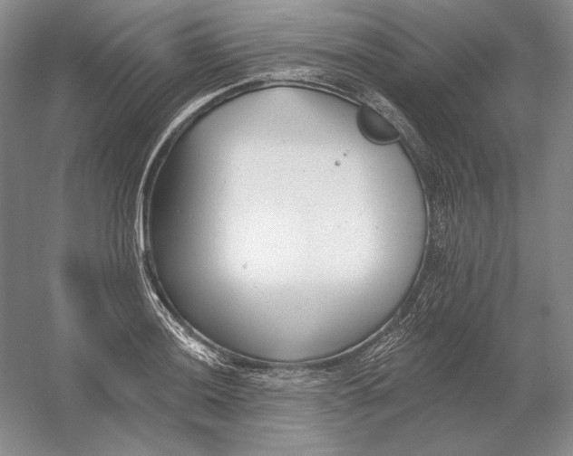 X0000054381036200508270002