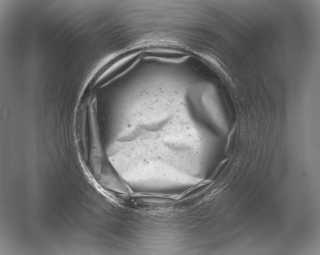 X0000054381038200508270002