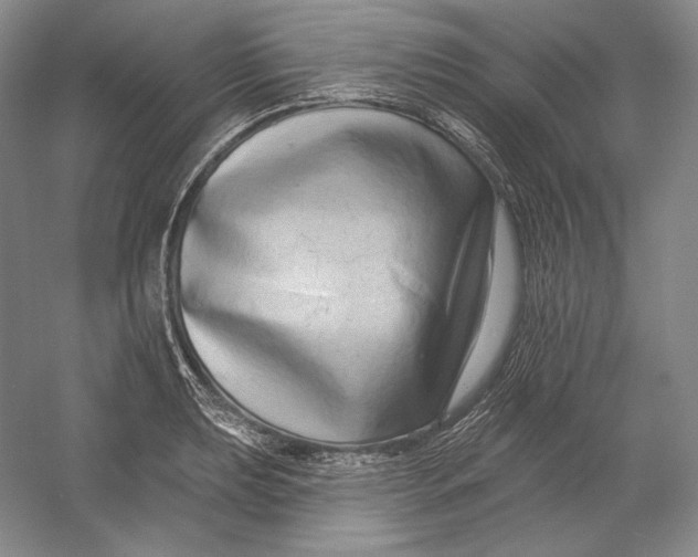 X0000054381039200508270002