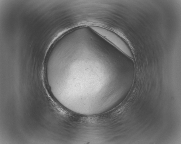 X0000054381040200508270002