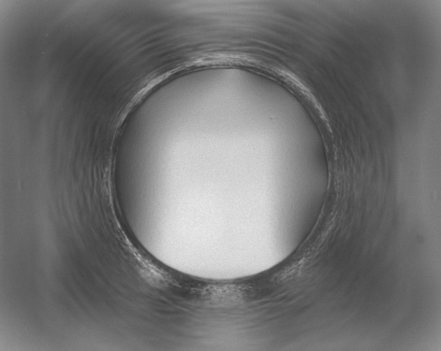 X0000054381041200508270002