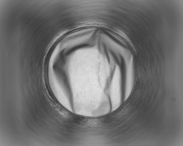 X0000054381043200508270002