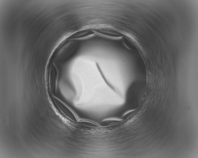 X0000054381046200508270002