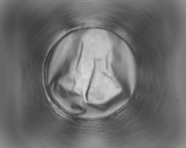 X0000054381047200508270002