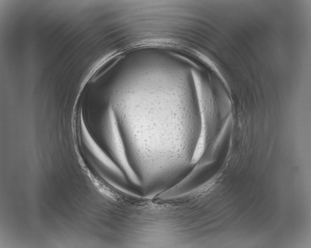 X0000054381050200508270002