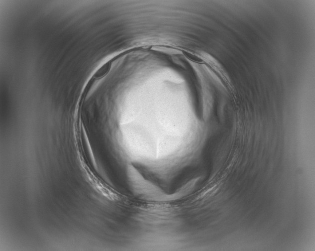 X0000054381052200508270002