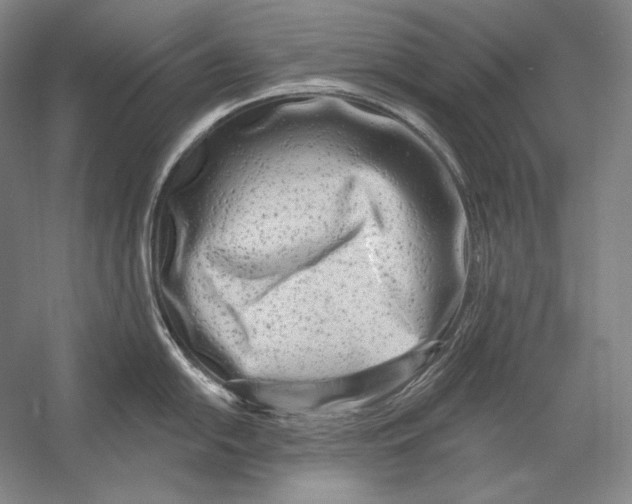 X0000054381054200508270002