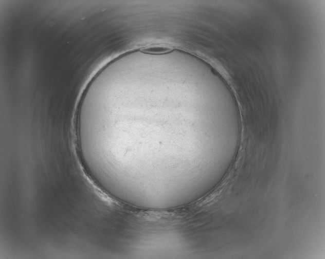 X0000054381056200508270002