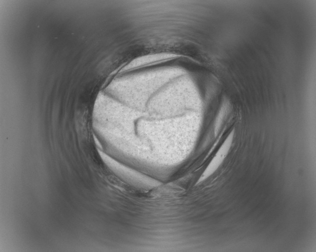 X0000054381059200508270001