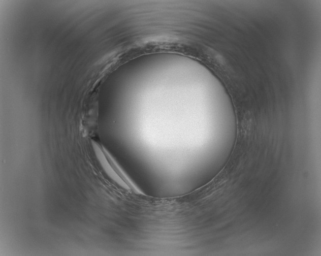 X0000054381062200508270001