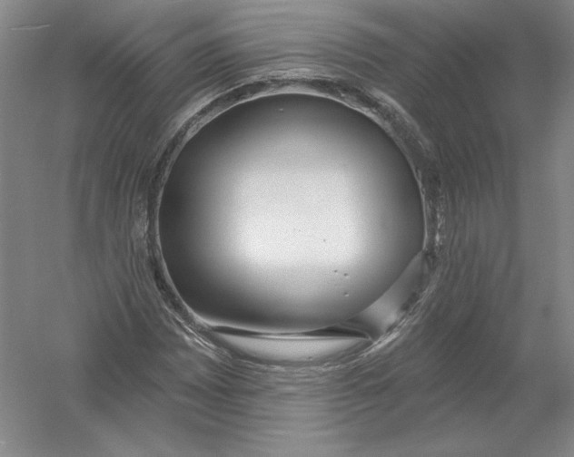 X0000054381065200508270001