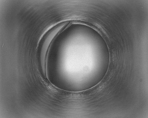 X0000054381069200508270001