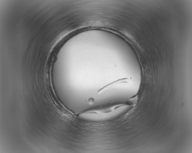 X0000054381070200508270001