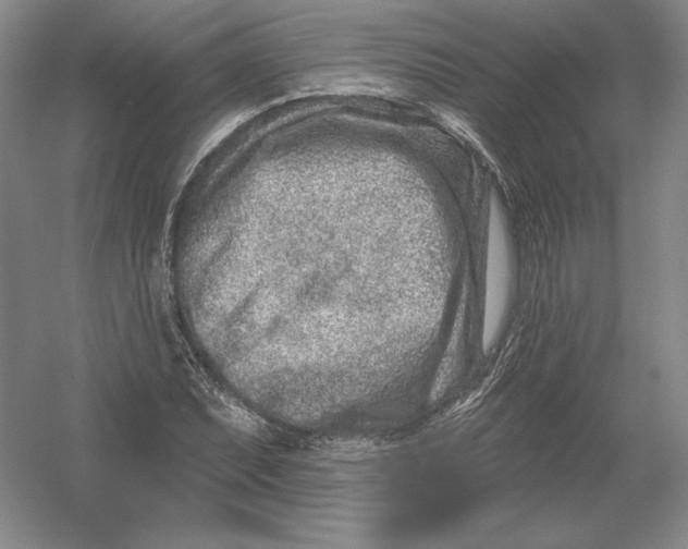 X0000054381071200508270001