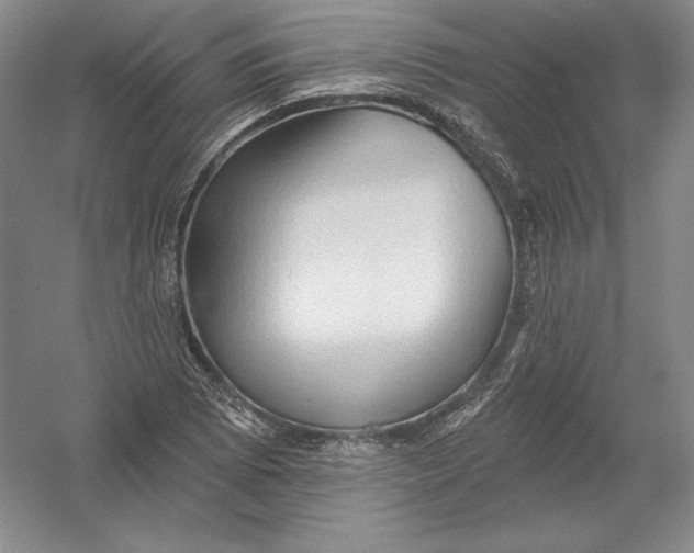 X0000054381073200508270001